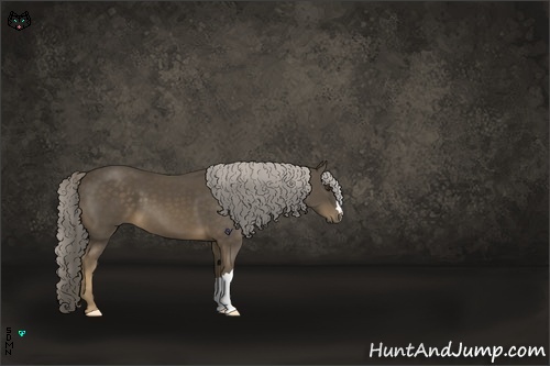 Horse Color:Chocolate Palomino 