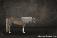 Horse Color:Chocolate Palomino 
