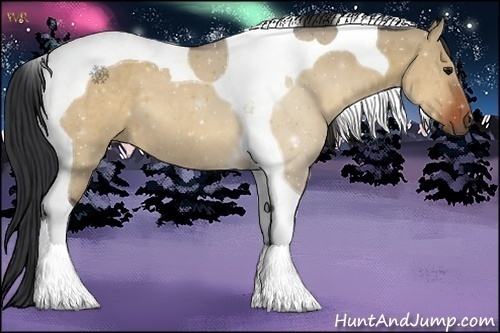 Horse Color:Bay Dun Tobiano 