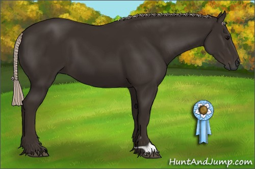 Horse Color:Gray Silver Black 