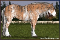 Horse Color:White Spotted Black  and White Spotted Silver Bay 