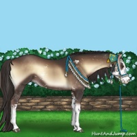 Horse Color:Liver Red Onyx Sabino