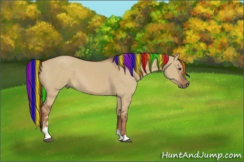 Horse Color:Painted Red Dun Sabino 