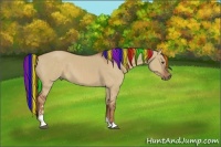 Horse Color:Painted Red Dun Sabino 
