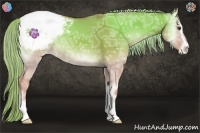 Horse Color:Gold Champagne Ice Onyx Sabino Snowcap 