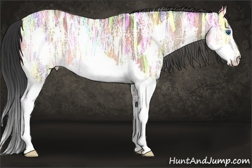 Horse Color:Bay Ice Splash
