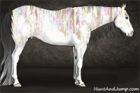 Horse Color:Bay Ice Splash 