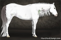 Horse Color:Liver Chestnut Ice Splash Tobiano Near Leopard 