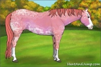 Horse Color:Watercolor Liver Chestnut Ice Splash Rabicano