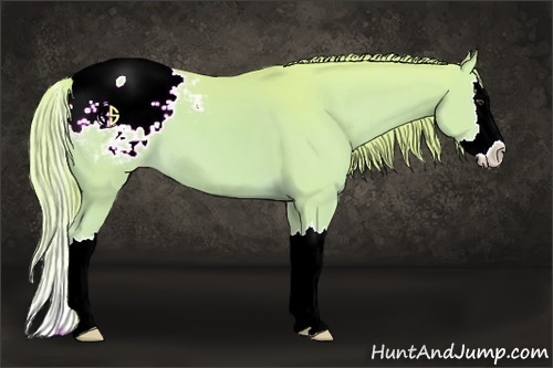 Horse Color:Watercolor Chestnut Sabino Splash Snowcap