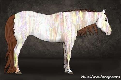 Horse Color:Red Ice Roan Appaloosa Rabicano