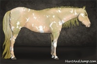 Horse Color:Watercolor White Spotted Chestnut Pearl 