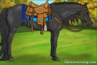 Horse Color:Smoky Black 