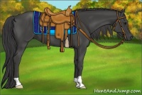 Horse Color:Smoky Black 