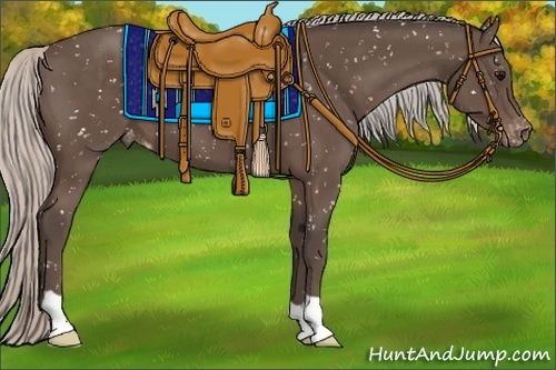Horse Color:Silver Black Snowflake Varnish