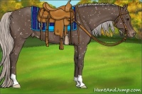 Horse Color:Silver Black Snowflake Varnish