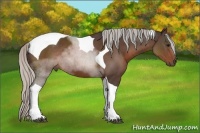 Horse Color:Silver Brown Tobiano 