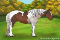 Horse Color:Silver Brown Tobiano 