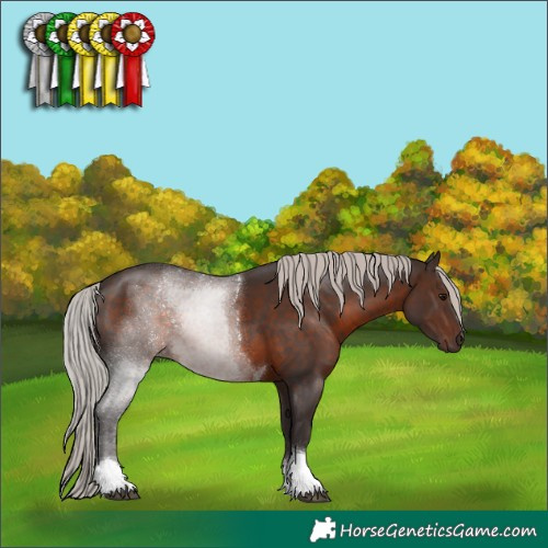 Horse Color:Silver Brown Sabino Tobiano