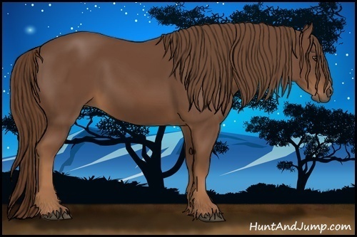 Horse Color:Chestnut Rabicano 