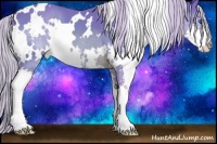 Horse Color:Watercolor White Spotted Silver Brown Splash 