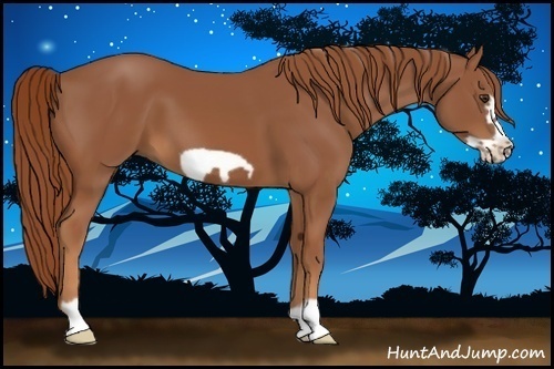 Horse Color:Chestnut Frame