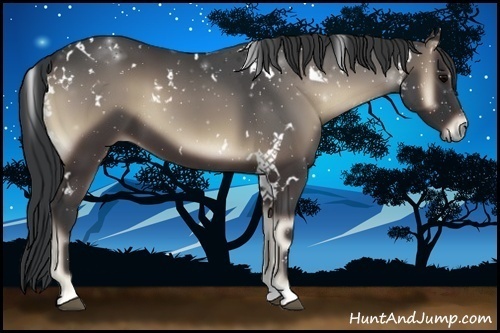 Horse Color:White Spotted Blue Onyx 