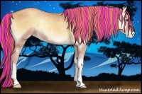 Horse Color:Painted Gold Champagne Onyx Appaloosa Rabicano 