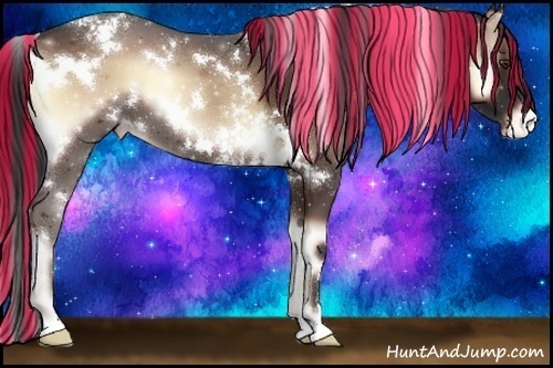 Horse Color:Painted White Spotted Liver Red Onyx Appaloosa 