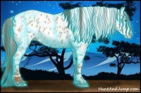 Horse Color:Thunderstruck White Spotted Classic Champagne Dun Tobiano Near Leopard Rabicano 