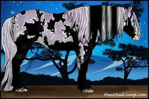 Horse Color:Watercolor White Spotted Silver Black Splash