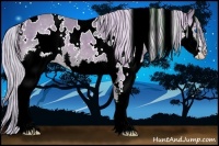 Horse Color:Watercolor White Spotted Silver Black Splash 