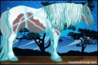 Horse Color:Thunderstruck Watercolor Silver Brown Tobiano 