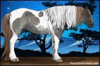 Horse Color:Liver Chestnut Tobiano