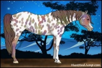 Horse Color:Nacre Classic Champagne Near Leopard