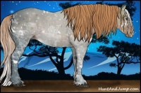 Horse Color:White Spotted Liver Chestnut Ice Sabino