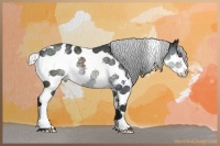Horse Color:Silver Black Chinchilla Splash Tobiano 
