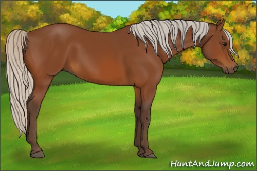 Horse Color:Silver Brown 
