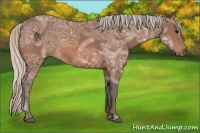 Horse Color:Silver Bay Ice