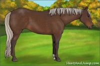 Horse Color:Silver Brown 
