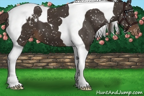 Horse Color:Liver Chestnut Tobiano Snowflake Varnish