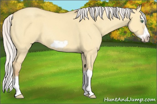 Horse Color:Silver Sable Cream Champagne Dun Splash Frame 