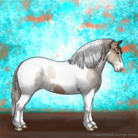 Horse Color:Black Pearl Sabino Tobiano 