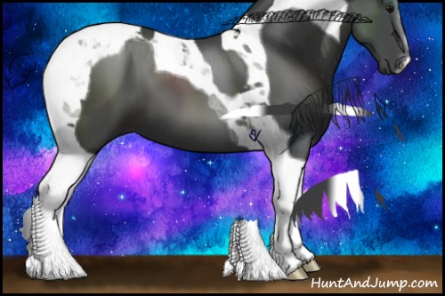 Horse Color:Black Tobiano 