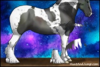 Horse Color:Black Tobiano 