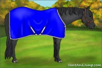 Horse Color:Blue Roan 