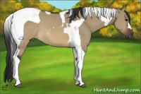 Horse Color:Brown Dun Tobiano 