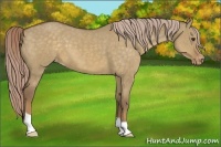 Horse Color:Chocolate Palomino Dun Varnish 