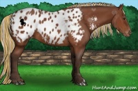 Horse Color:Painted Silver Bay Appaloosa