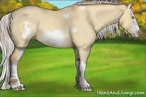 Horse Color:White Spotted Silver Sable Champagne Dun Splash Frame 